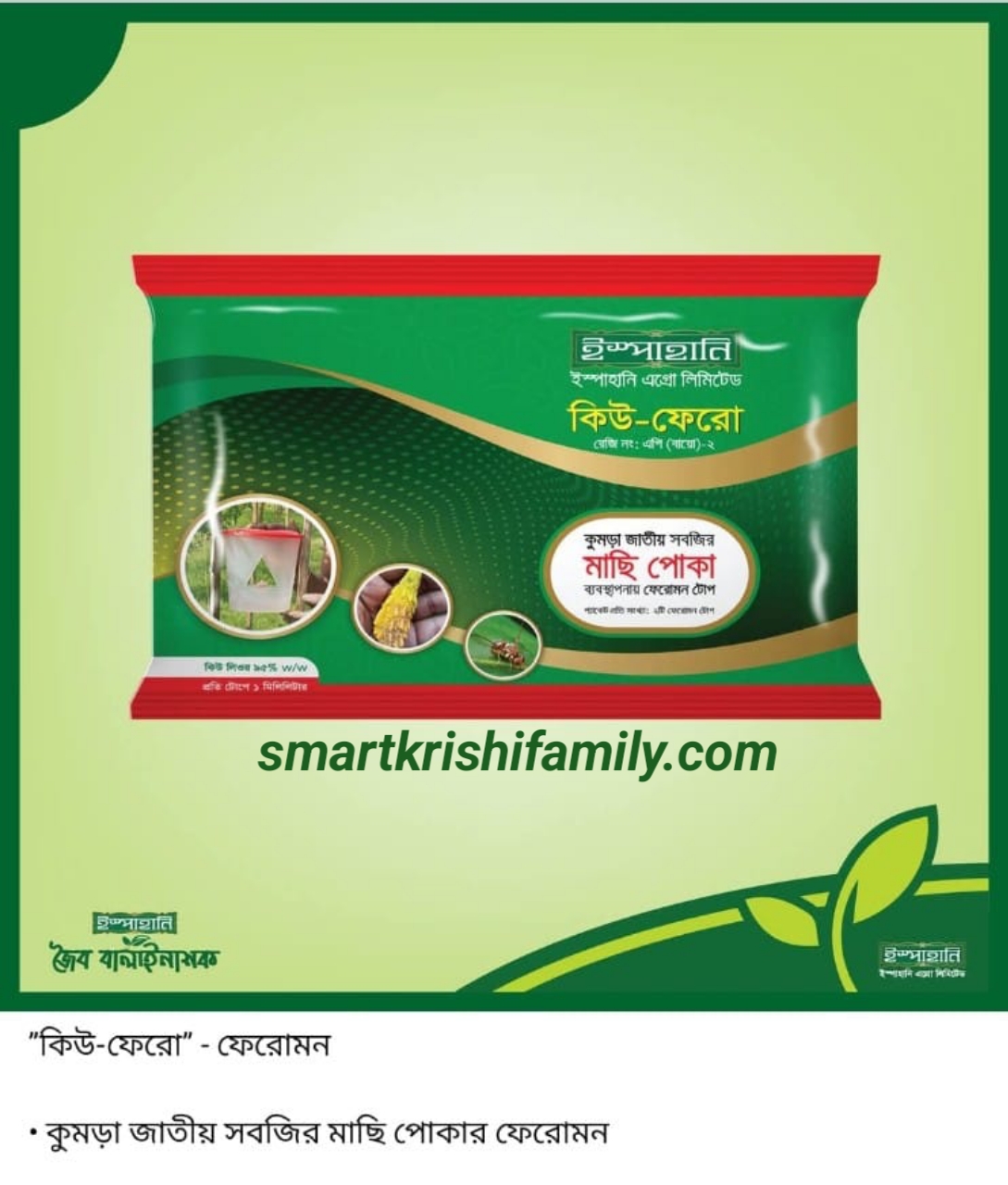 Q-Phero (কিউ-ফেরো) Pheromone Trap