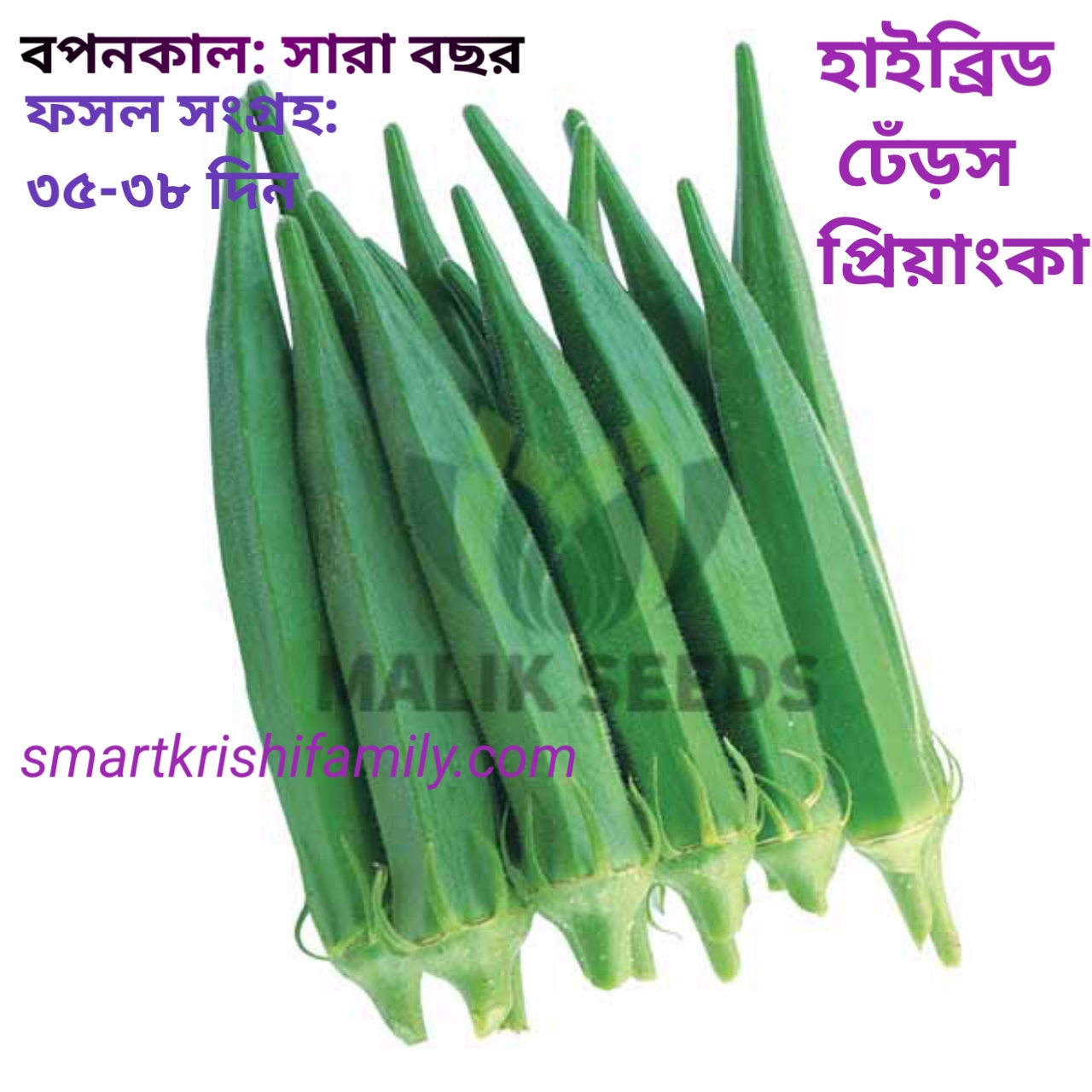 হাইব্রিড ঢেঁড়স- দুরন্ত(Malik seeds) (Duranta)
